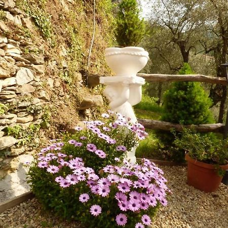 Casa Vacanze Sole Borghetto d'Arroscia Buitenkant foto