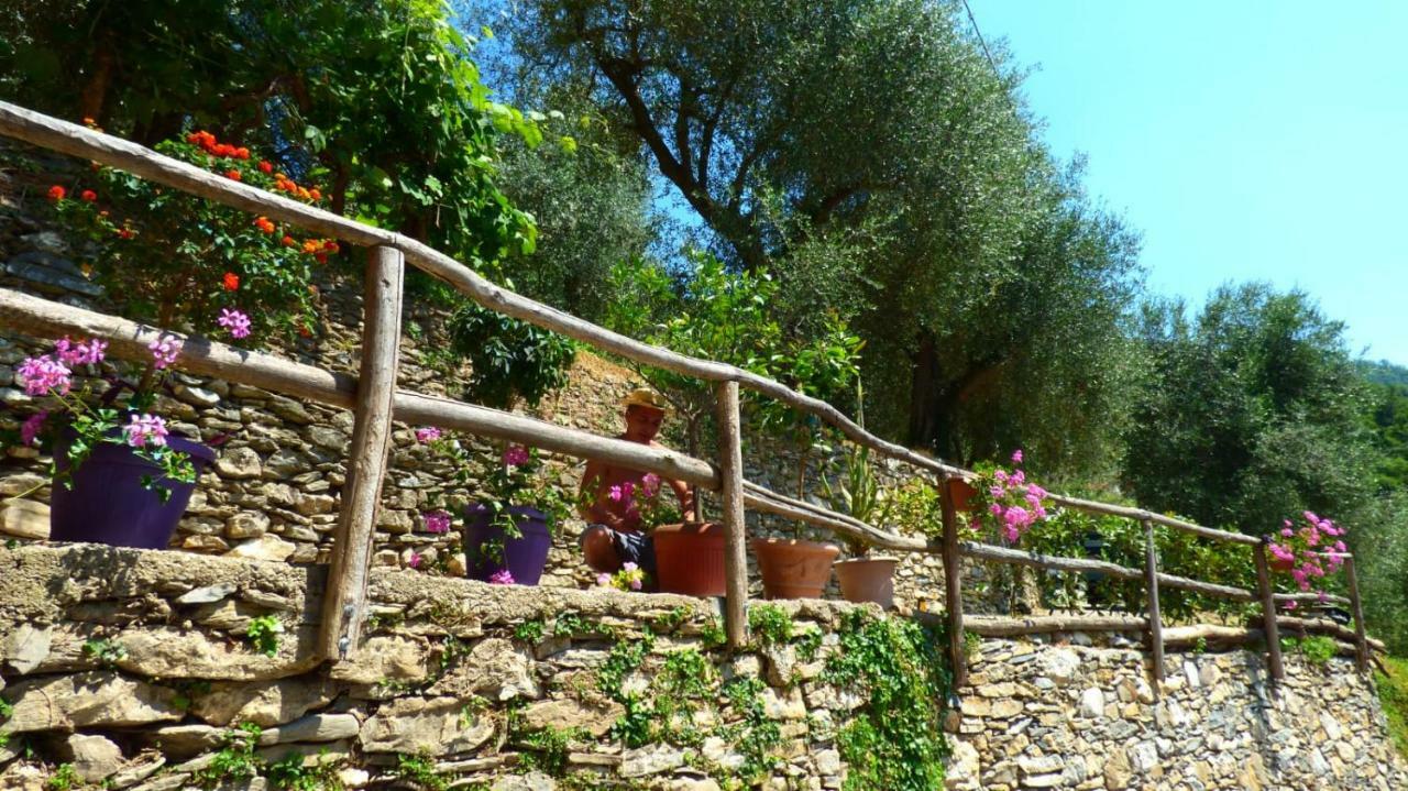 Casa Vacanze Sole Borghetto d'Arroscia Buitenkant foto