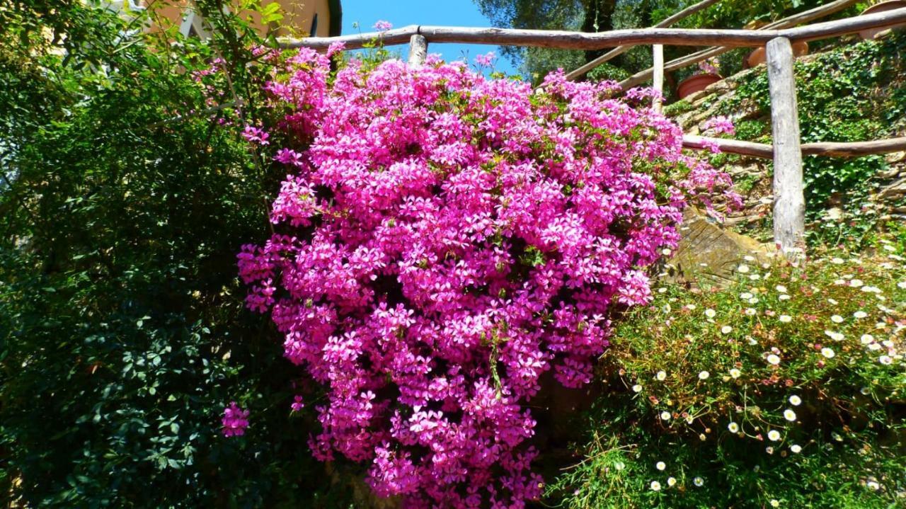 Casa Vacanze Sole Borghetto d'Arroscia Buitenkant foto
